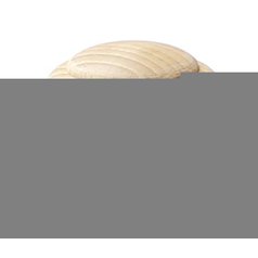 Knop dřevo 56 buk Knop dřevo 56 buk